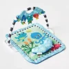 Baby Einstein Neptunes Discovery Reef Play Gym & Take-Along Toy Bar
