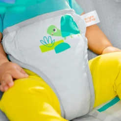 Bright Starts Playful Paradise Vibrating Baby Bouncer