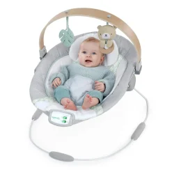 Ingenuity Cozy Spot Soothing Baby Bouncer