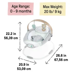 Ingenuity Cozy Spot Soothing Baby Bouncer