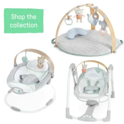 Ingenuity Cozy Spot Soothing Baby Bouncer
