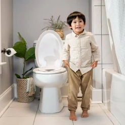 Ingenuity Flip & Sit Potty Seat