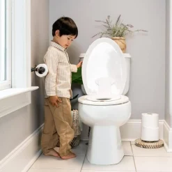 Ingenuity Flip & Sit Potty Seat