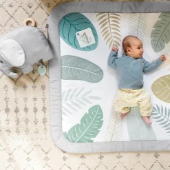 Ingenuity Sprout Spot Baby Milestone Play Mat