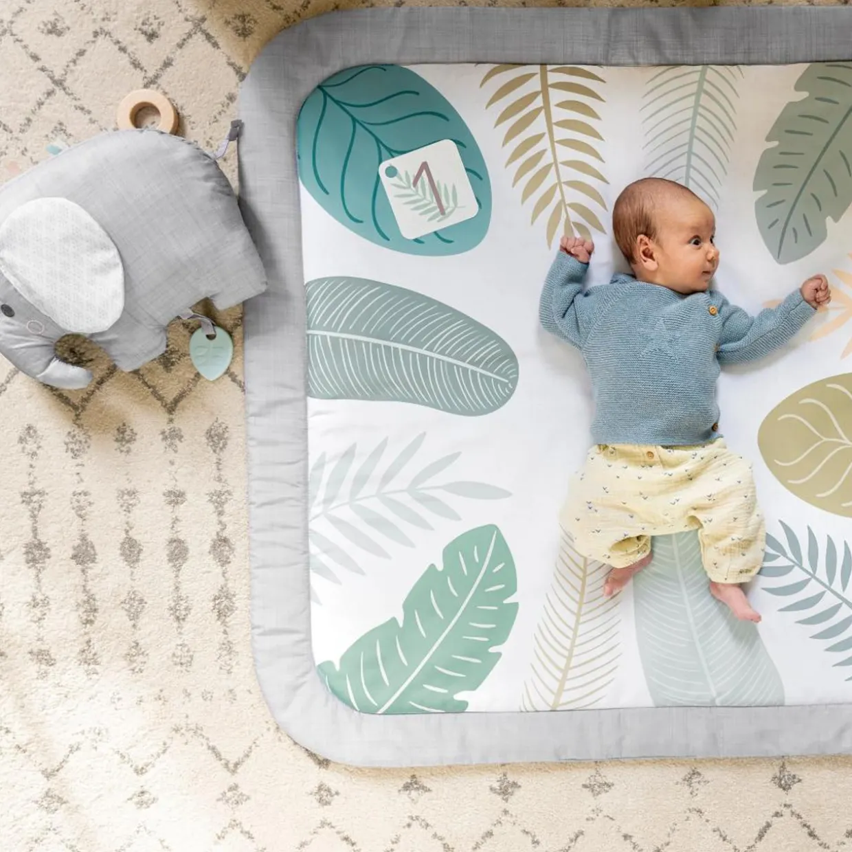 Ingenuity Sprout Spot Baby Milestone Play Mat