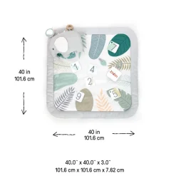 Ingenuity Sprout Spot Baby Milestone Play Mat