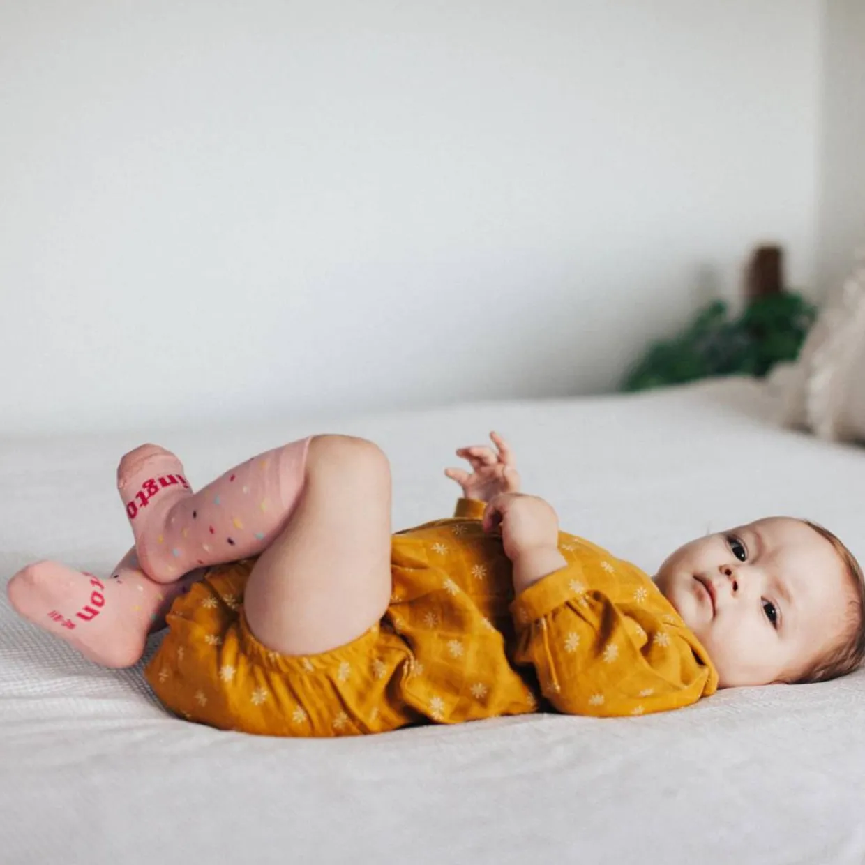 Lamington Baby Knee-High Merino Socks