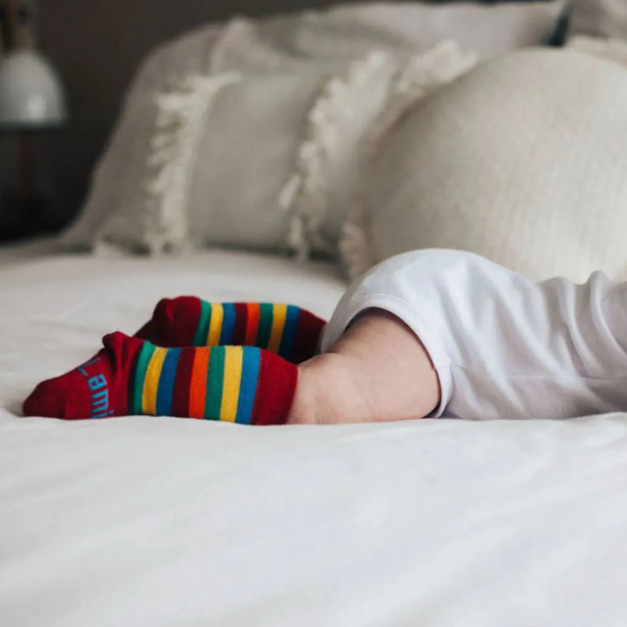 Lamington Baby Knee-High Merino Socks