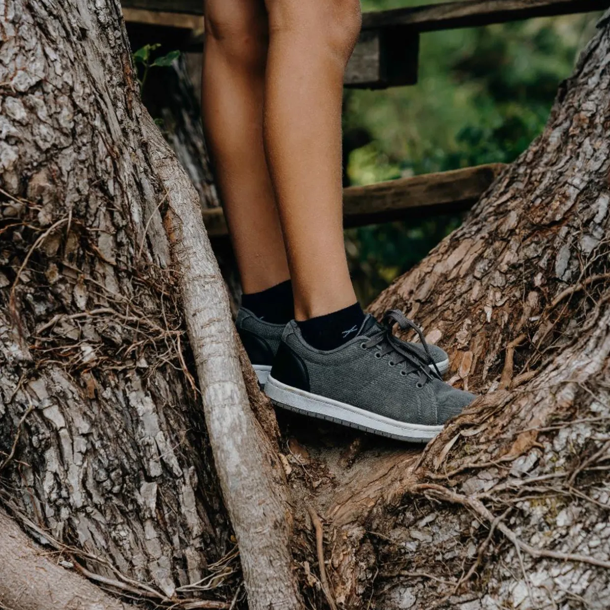 Lamington Kids Ankle Merino Socks