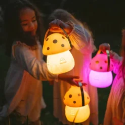 Little Belle Fairy Carry Lantern