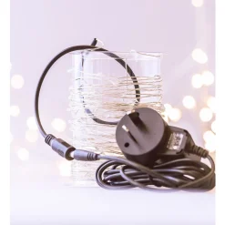 10M Seed Lights (Plug-in)