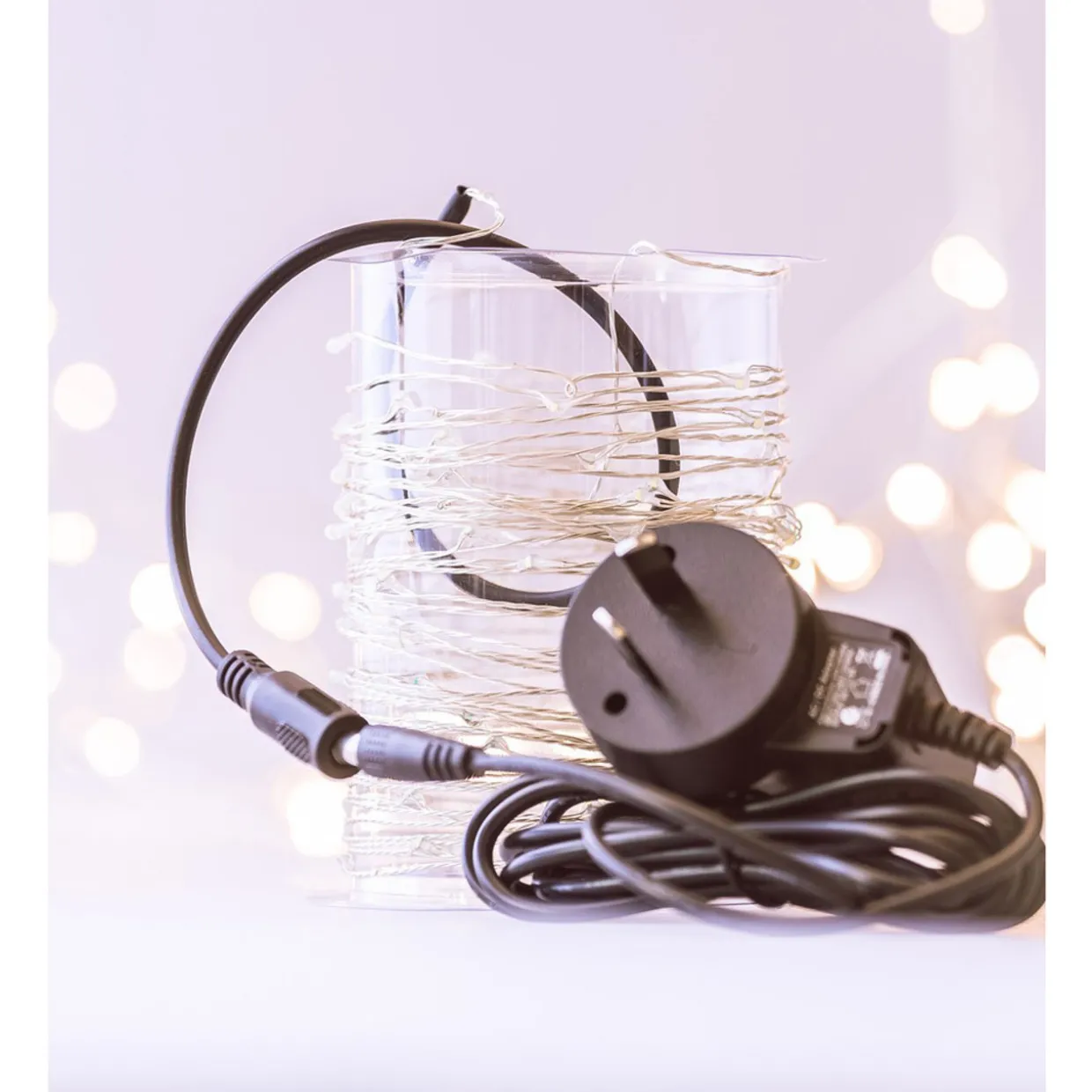 10M Seed Lights (Plug-in)