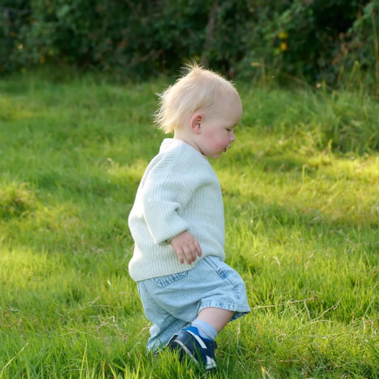 Maxted Mini Seven Pullover