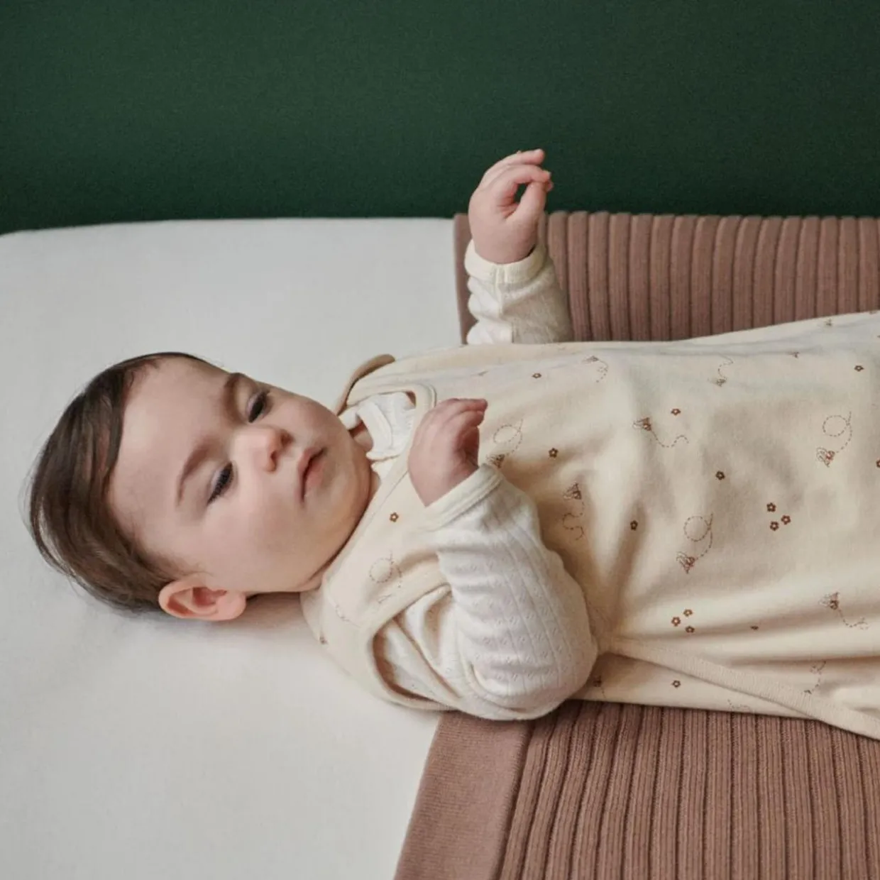 Nature Baby Organic Cotton/Merino Inner Bag