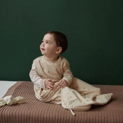 Nature Baby Organic Cotton/Merino Inner Bag