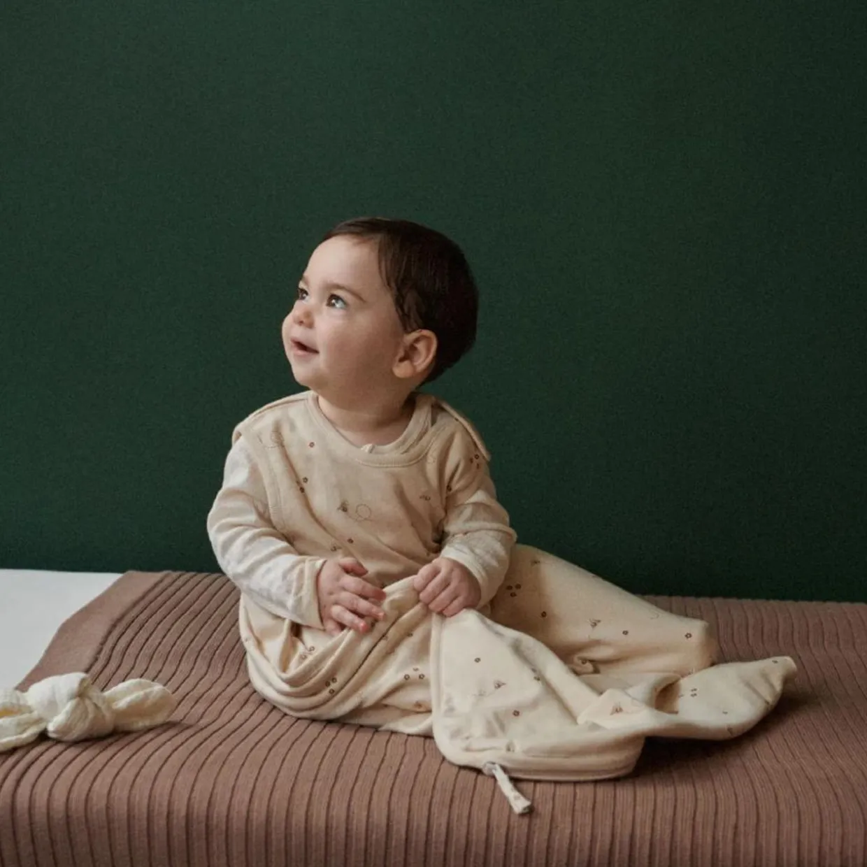 Nature Baby Organic Cotton/Merino Inner Bag