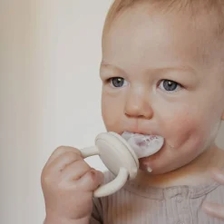 Petite Eats First Tastes Feeder