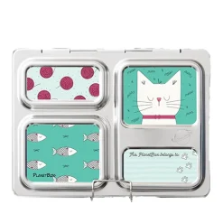 PlanetBox Launch Magnets