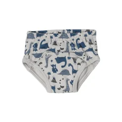 Snazzi Pants Organic Day Trainers