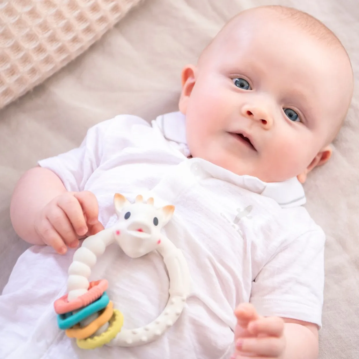 Sophie La Girafe - So'Pure Teething Colo'rings