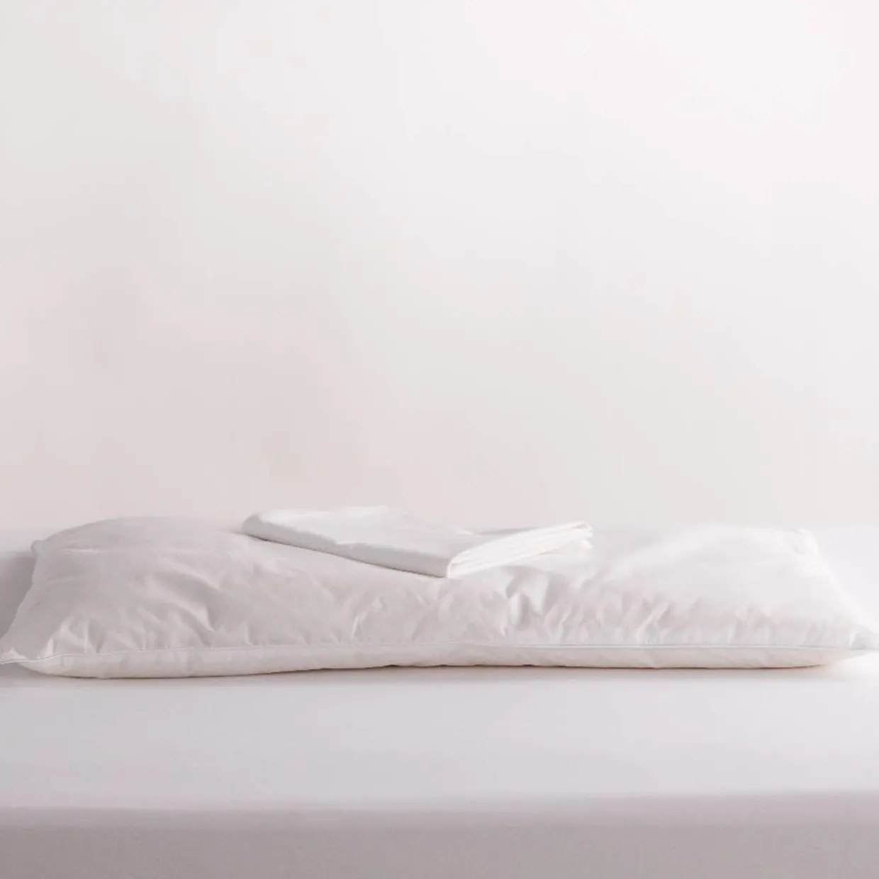 Standard Size Wool Pillow with Pillowcase