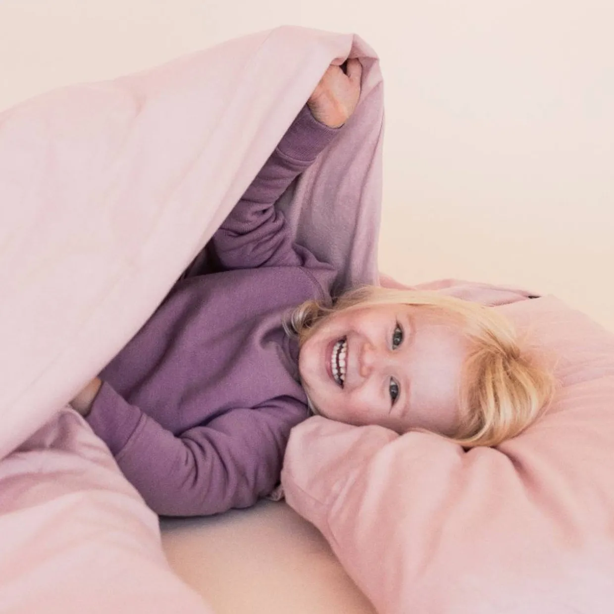 Standard Size Wool Pillow with Pillowcase