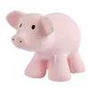 Tikiri Natural Rubber Rattle & Bath Toy - Pig