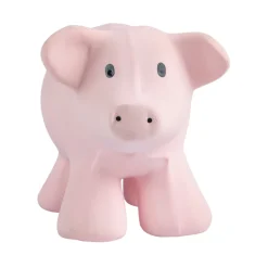 Tikiri Natural Rubber Rattle & Bath Toy - Pig