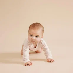 Wilson & Frenchy Organic Stripe Rib Kimono Bodysuit