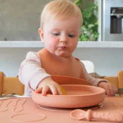 Zazi Clever Plate with Lid