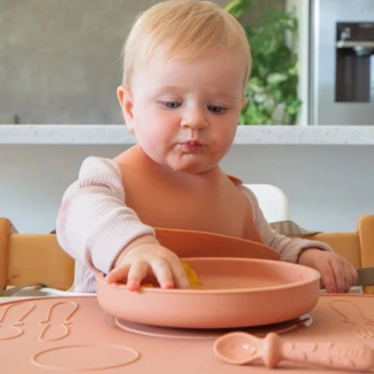 Zazi Clever Plate with Lid